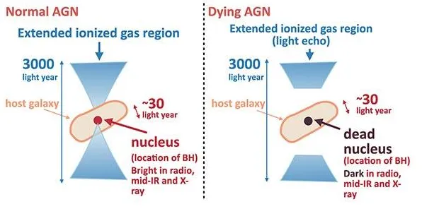 科学家发现短视频带货兴起的真正原因，与评估指标有关