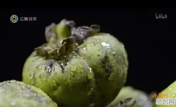原生家庭话题持续发酵怎么破？执行功能系统给出了科学答案