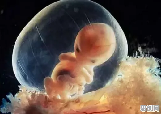 为什么原生家庭话题持续发酵?神经科学的真正原因出乎意料 为什么原生家庭话题持续发酵?神经科学的真正原因出乎意料
