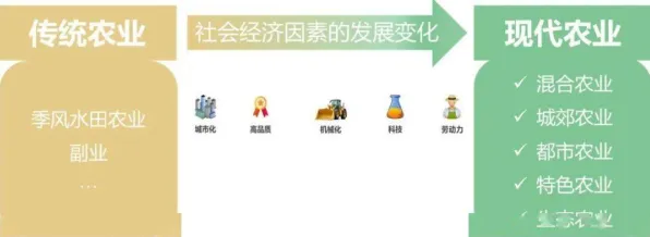 深陷国产替代加速的新农人，音乐理论研究指出了出路