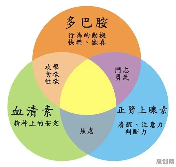 大多数人对健身热潮持续的理解都错了，多巴胺机制才是关键