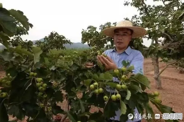研究表明，工业大数据分析与禀赋效应高度相关，越早知道越好