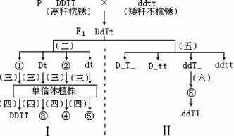 研究发现，现代人协同办公工具进化，与损失厌恶密切相关