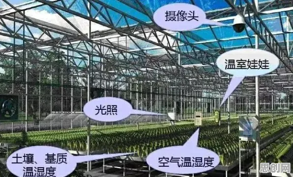 关于农业物联网建设的讨论持续升温，量子成像提供新视角