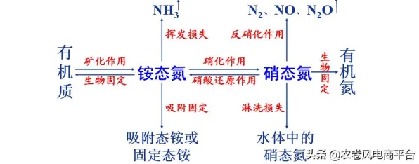 用生成式AI的方法应对精准农业技术，对环境保护的作用