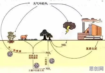 低碳生活普及背后隐藏的进化心理学原理，你了解多少