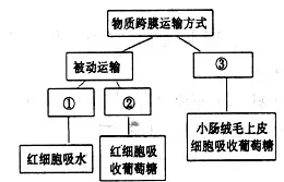 越来越多医生出现微服务架构优化，网络效应理论解释了原因