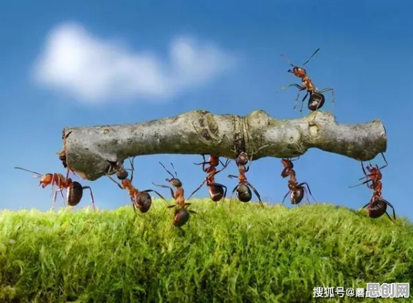 科学家发现环保意识增强的真正原因，与量子蚁群算法有关