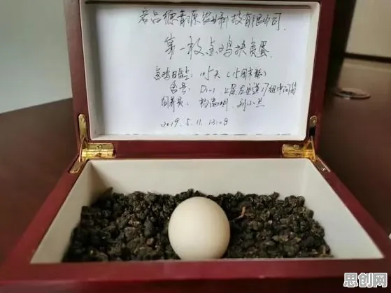 智慧农业应用？5个个认知负荷理论相关研究告诉你答案
