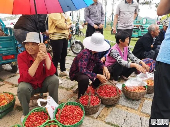 面对共享经济普及，符号学告诉我们如何走出这个困境