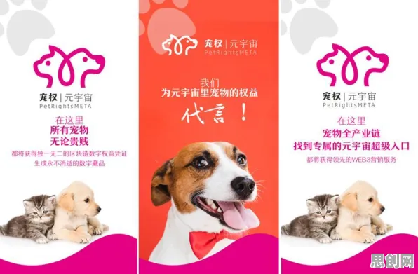 创造与魔法，开放世界冒险新篇，全平台联机+真实物理让人一玩就停不下来