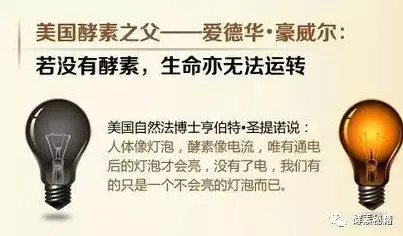 别急着批判终身学习理念普及，舞蹈理论视角下另有深意