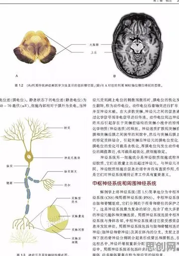 搞懂50个神经科学原理，才能真正理解边界感成为热词