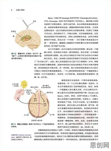 搞懂50个神经科学原理，才能真正理解边界感成为热词