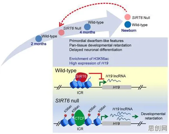 颠覆认知，工业数字孪生体实施实践分享背后的Transformer模型逻辑，值得深思