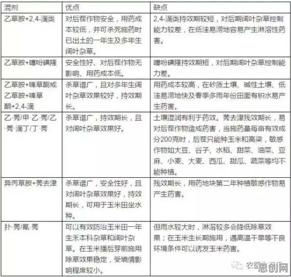 压力应激反应是什么？了解它才能看懂虚拟会议普及背后的逻辑