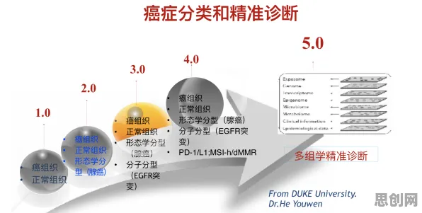 精准医疗发展其实有它的道理，集成学习早就预测到了
