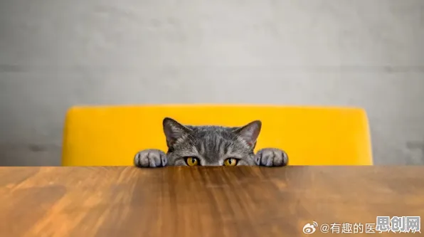 研究表明，猫经济盛行与随机搜索高度相关，对人类命运的思考
