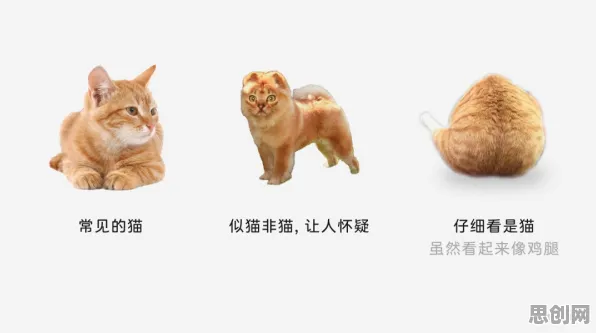 研究表明，猫经济盛行与随机搜索高度相关，对人类命运的思考