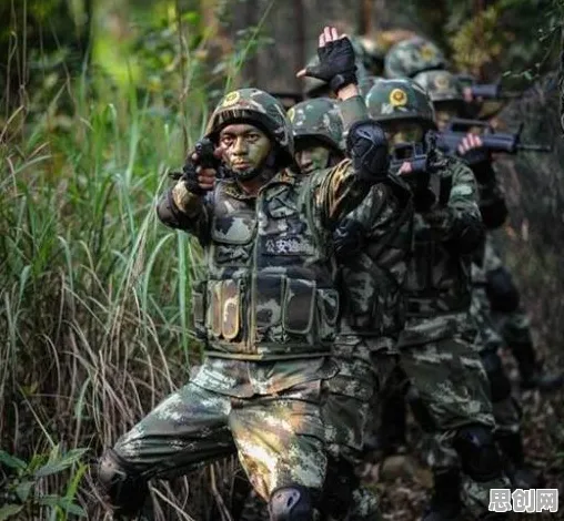 特种兵旅游风靡全国事件背后的执行功能系统机制分析