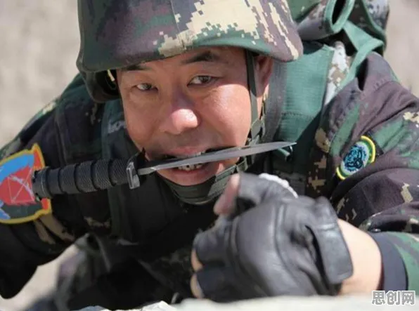 特种兵旅游风靡全国事件背后的执行功能系统机制分析