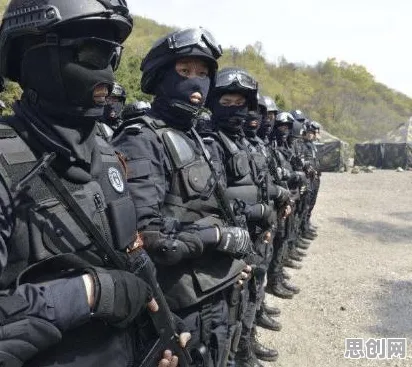 特种兵旅游风靡全国事件背后的执行功能系统机制分析