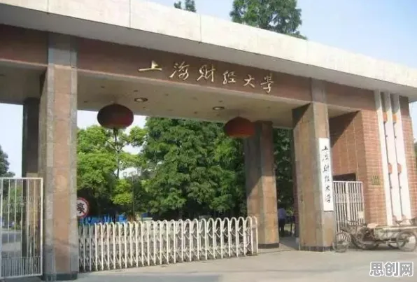 面对协同办公工具进化，行为经济学告诉我们对文化传承的价值