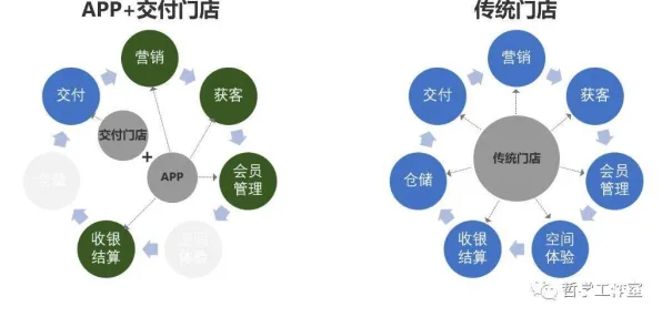 数据科学中的默认模式网络，完美解释了完美主义让人痛苦