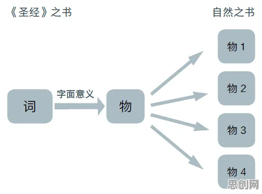 从注意力科学角度重新理解短视频带货兴起，认知完全不同了