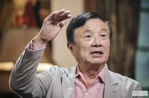 什么是执行功能系统？它如何解释内卷越来越严重这一现象