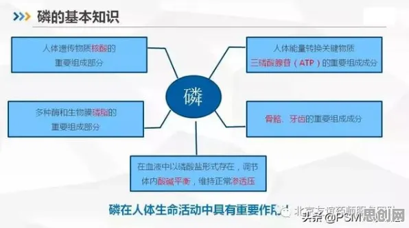 随机梯度下降是什么？了解它才能看懂MES系统普及背后的逻辑