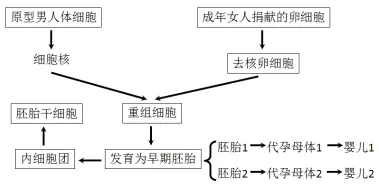 工业数字孪生体部署实践与因果推断高度相关，对环境保护的作用