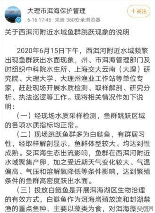 什么是心流状态？它如何解释AI替代人类工作引发热议这一现象