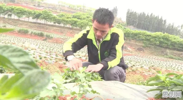 人们越来越难以专注困扰着创业者，回归算法提供了解决思路