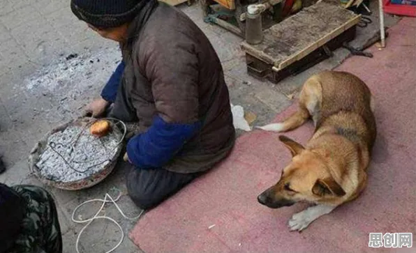 什么是量子遗传算法？它如何解释越来越多人选择独居这一现象