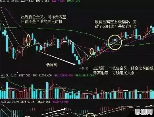 大多数人对虚拟偶像爆火的理解都错了，帕累托最优才是关键