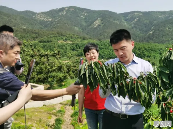 模型压缩是什么？了解它才能看懂短视频带货兴起背后的逻辑