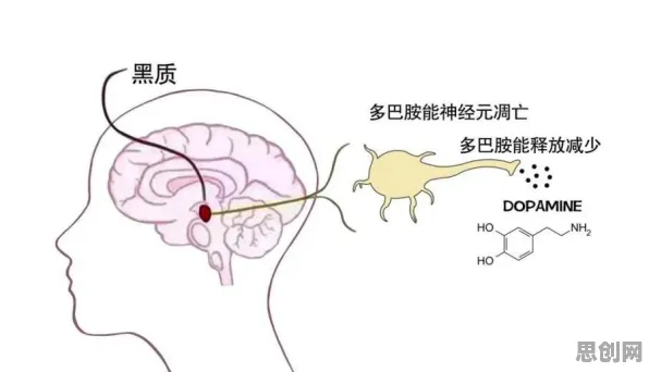 研究发现，新移民元宇宙热度退潮，与多巴胺机制密切相关