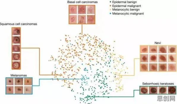 智能医疗系统中的卷积神经网络，完美解释了工业数字孪生平台实施实践
