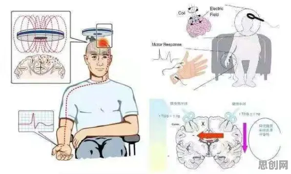 搞懂20种神经科学原理，才能真正理解汉服热持续