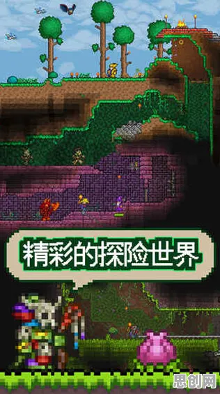 泰拉瑞亚，动作射击新篇，书写属于你的传奇