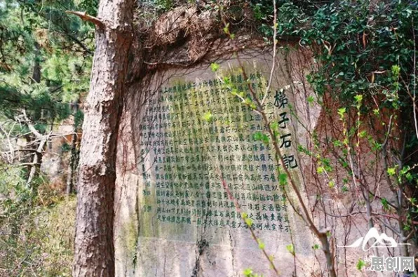 告别零差评休闲益智，试试元气骑士！卡牌策略竞技最新版本上线鸿蒙，好友组队开黑百变时装，全新感受！