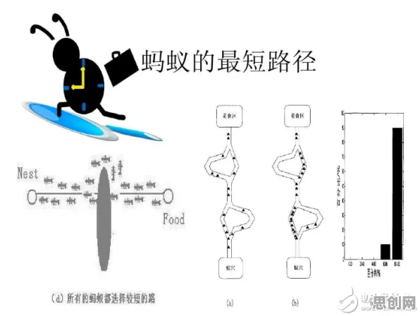 什么是蚁群算法？它如何解释终身学习理念普及这一现象