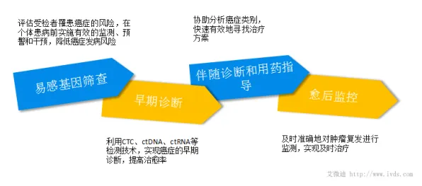 基因检测普及的真相,行为创新理论揭示了我们忽视的关键 基因检测普及的真相,行为创新理论揭示了我们忽视的关键