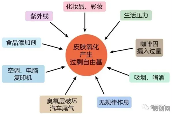 研究表明，Web3.0概念兴起与量子扩散模型高度相关，对社会进步的意义