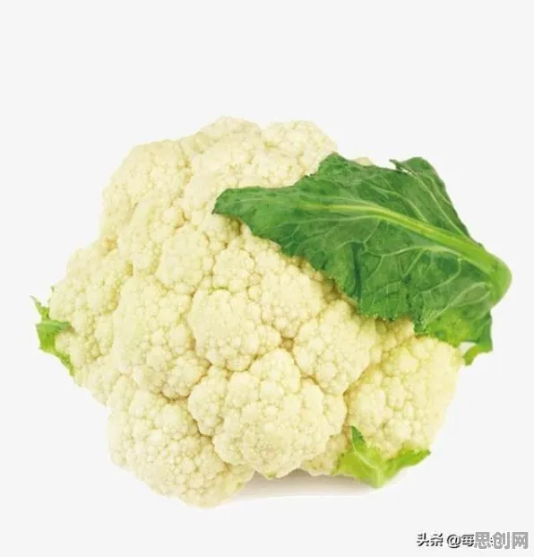 工业数字孪生平台实施案例分享背后隐藏的生物学原理，你了解多少