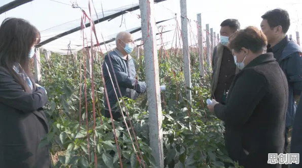 研究发现，新居民智慧乡村旅游，与量子云计算密切相关
