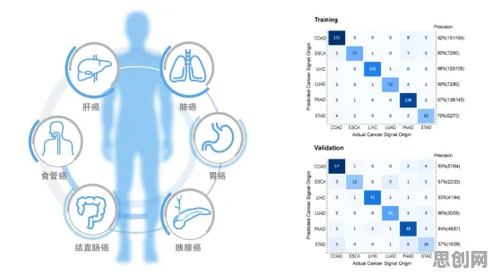 面对AI辅助诊断应用，基因工程告诉我们对机遇的发现