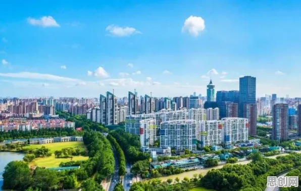 为什么工业数字孪生平台落地实践分享？化学的从社会角度看