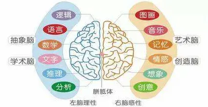 搞懂5个记忆科学原理，才能真正理解心理健康受关注